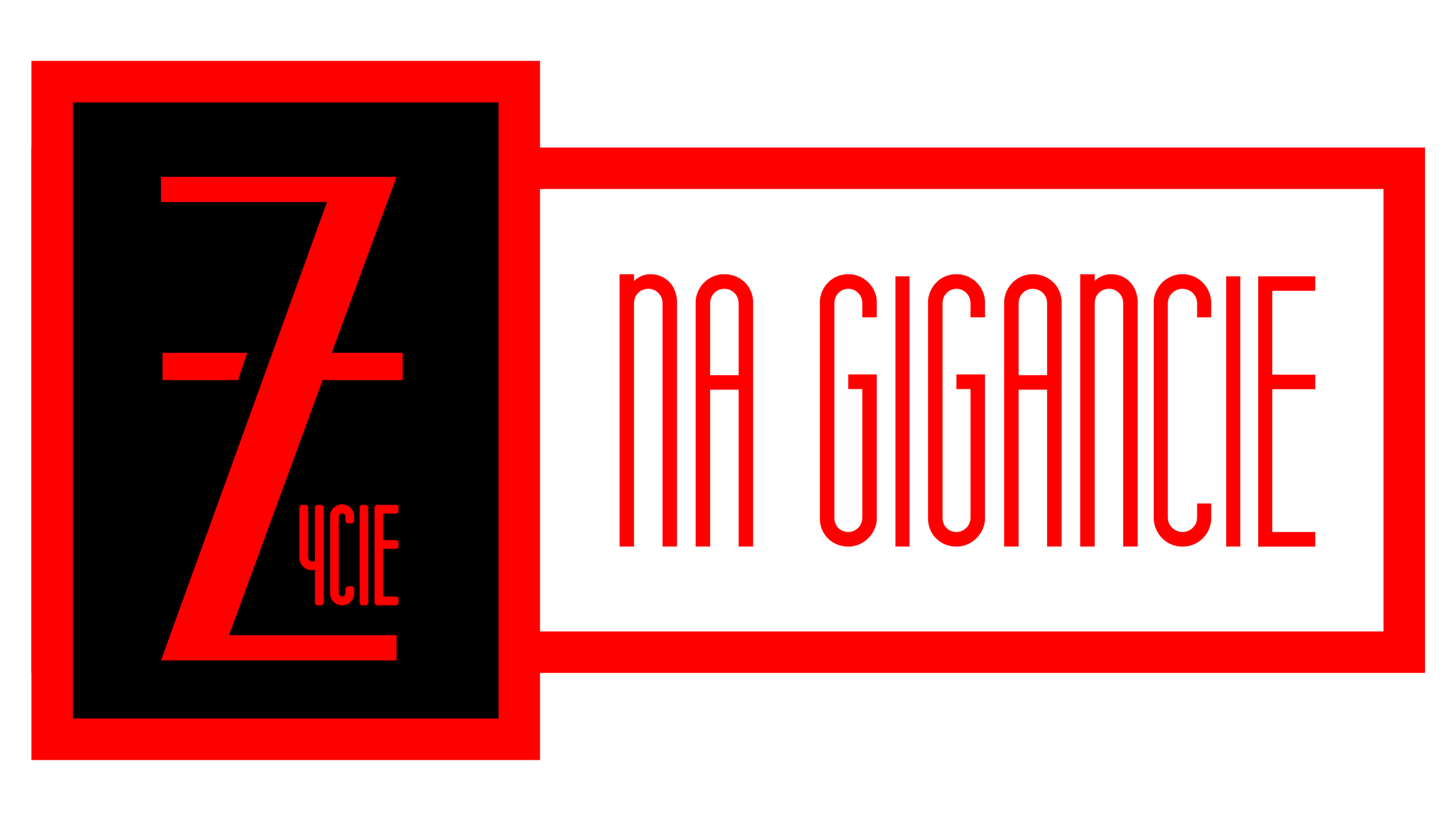 logo (4).png